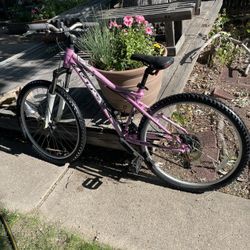 G T. Avalanche 3.0.  Pink