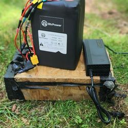 48v 20ah Battery And Charger