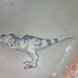  Strike 'N Roar Giganotosaurus Dinosaur Action Figure. 