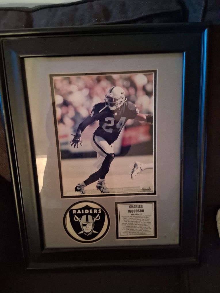 FRAME $20 PICK UP IN SUN VALLEY