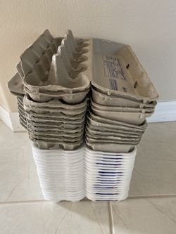 100 egg cartons