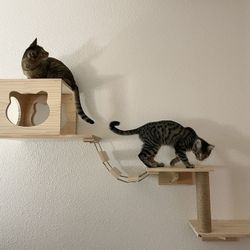 Wall-mounted Cat Climbing Shelf Set