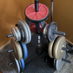 Weights/weight Stand