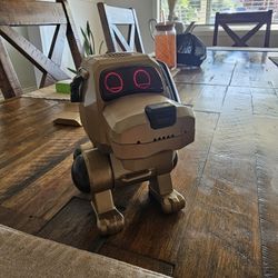 Vintage Poo- Chi / Collectible