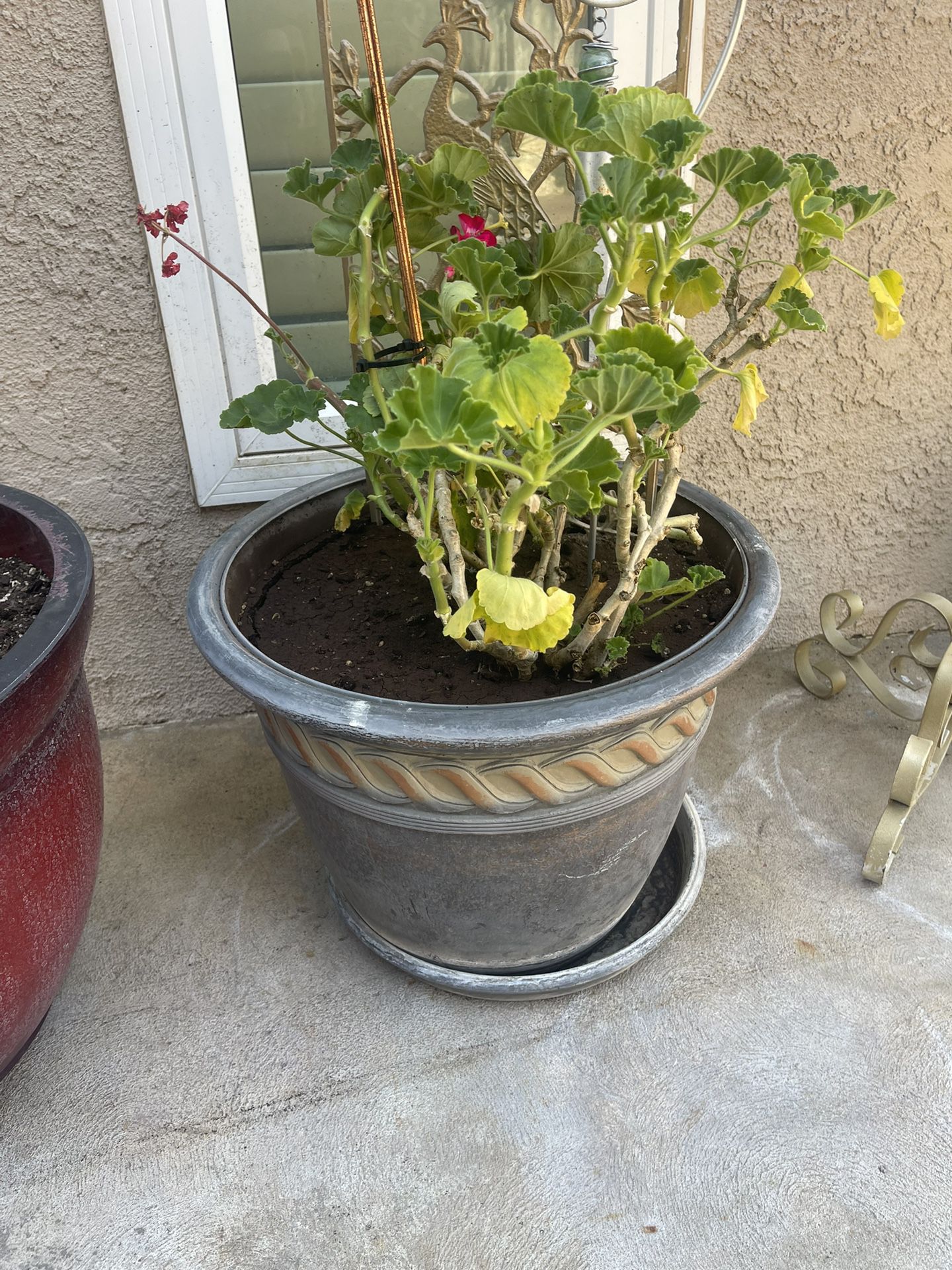 Plant Pot And Deco