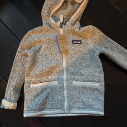 Patagonia Zip Hoodie