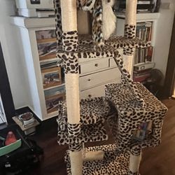 Cat Tree