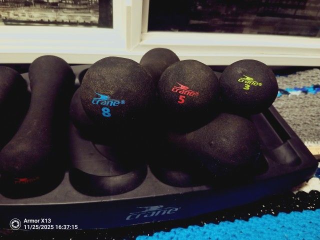 Crane brand dumbbells with a storage tray.