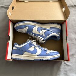 Polar Blue Nike Dunk With Box 
