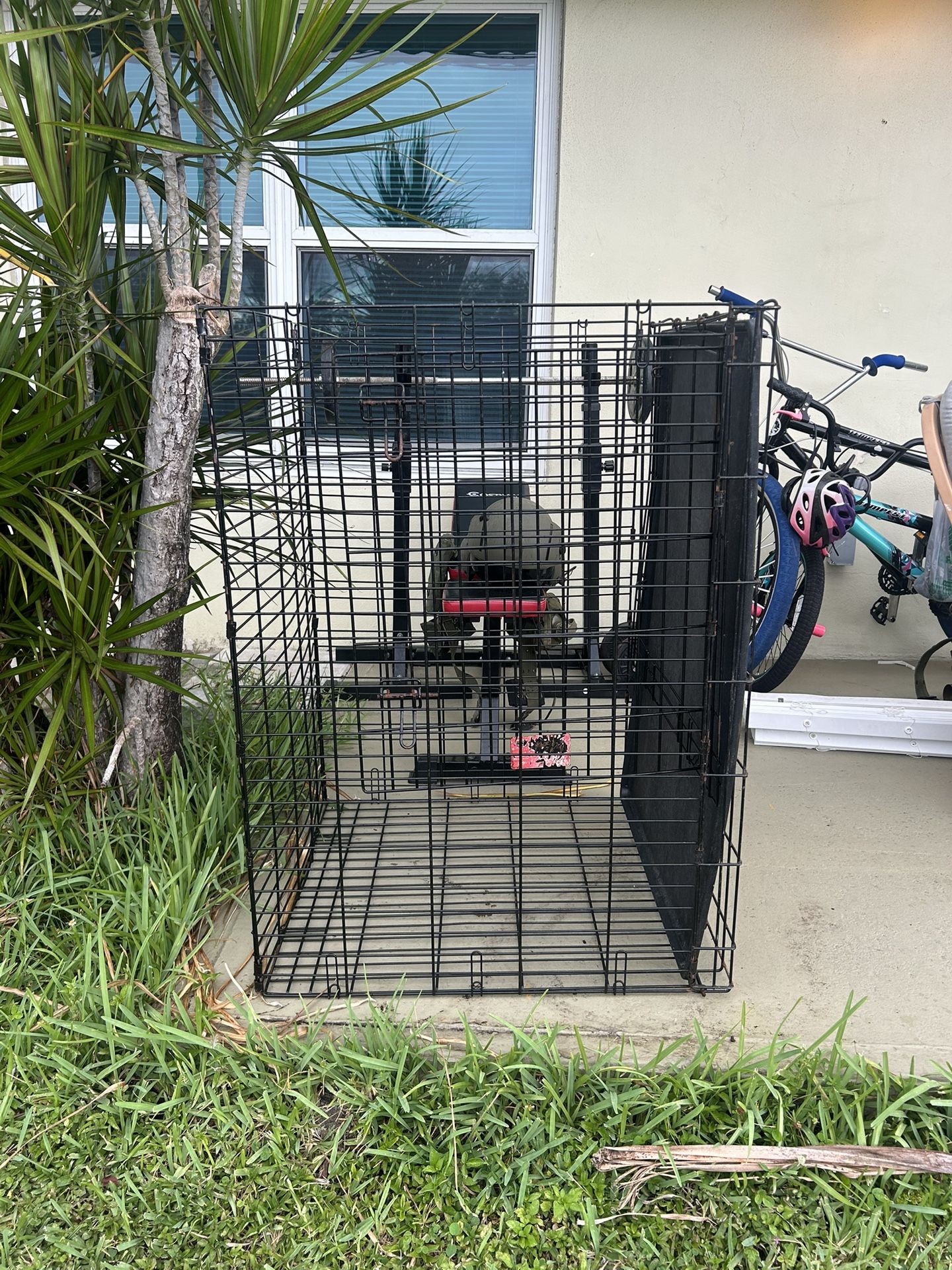 X-Large Dog Cage