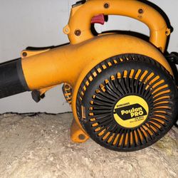 Leaf Blower N Weed Wacker 