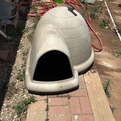 Dog House For Dogs 