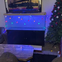 90gal Aquarium And Stand