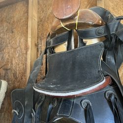 Montura Charra 14” 