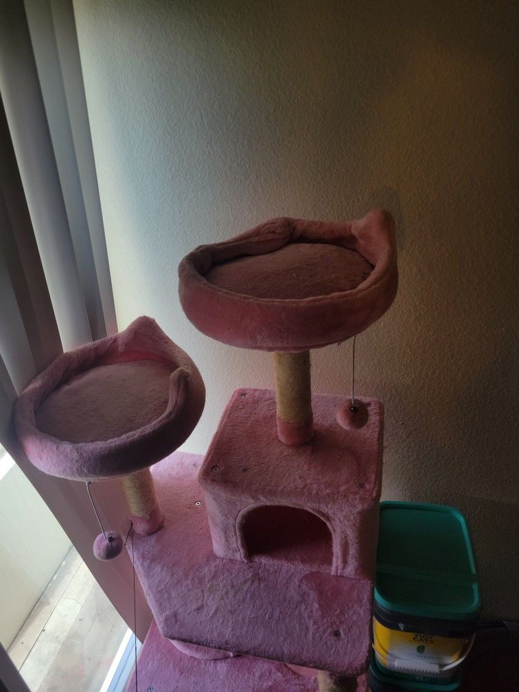 Cat Tree
