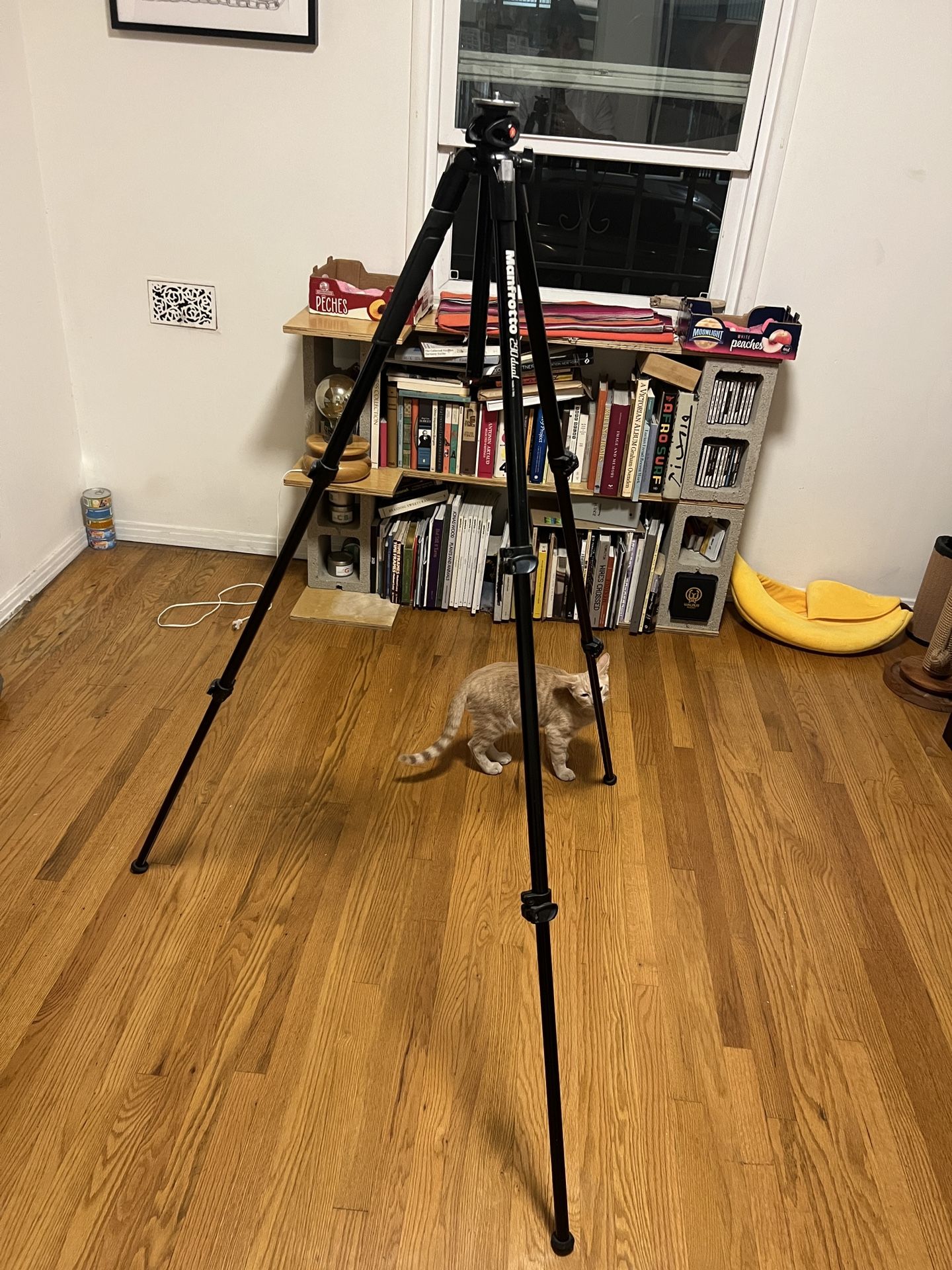 Manfrotto 290 Tripod legs Made In Italy Bogen Gitzo
