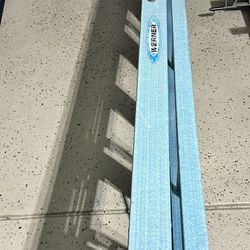 Werner ladder 