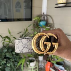 Gcci Belt 