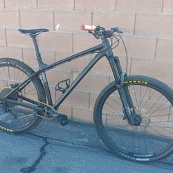 29 Hardtail Mountain Bike Mtb Size Large With Many Upgrades 