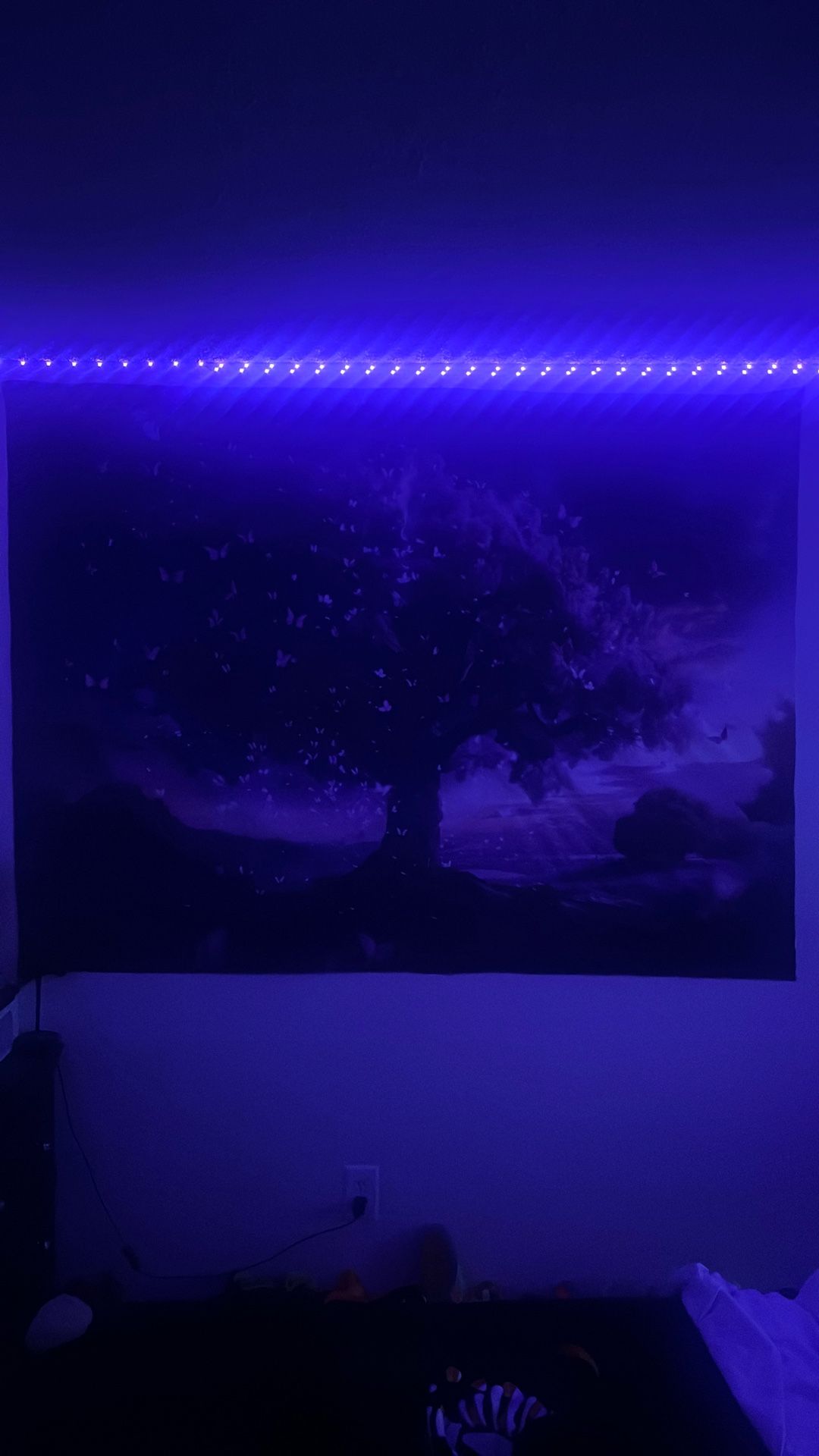 Wall Backdrop Purple