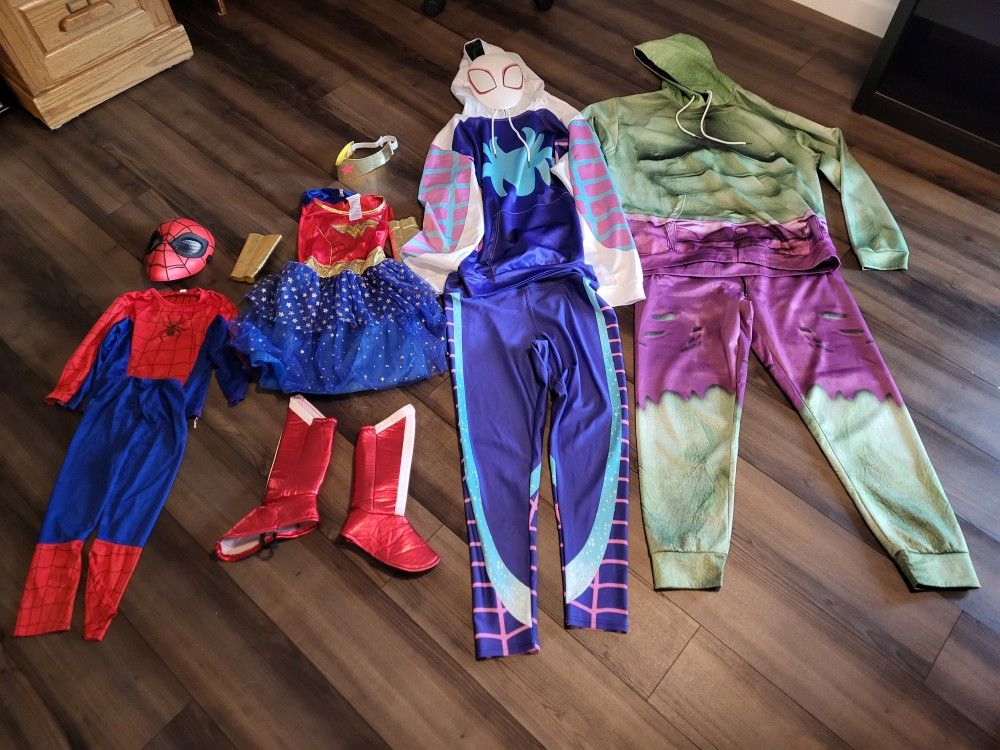 Super Hero Family Costume Set - 4 Costumes! (Wonder Woman, Spiderman, Ghost Spider, Hulk) for Halloween, Theme Party, Etc.