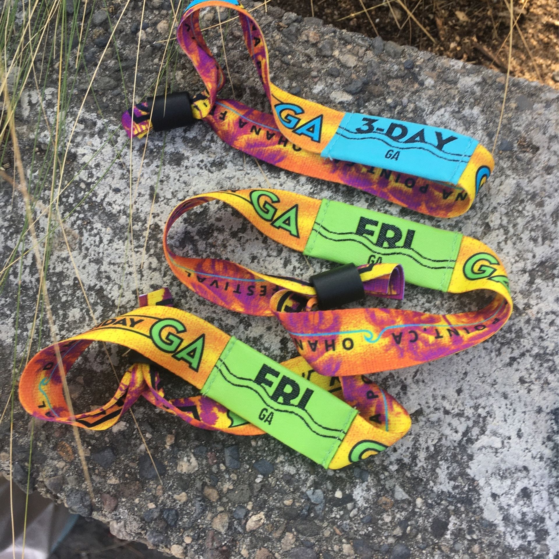 Ohana Festival