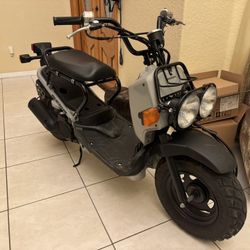 Honda Ruckus 2023 Scooter Motorcycle Moped