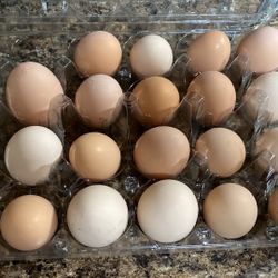 Free Range Organic Farm Fresh Eggs (1 dozen)