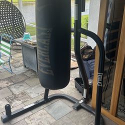 The Everlast Sporting Good Dual 2 Station