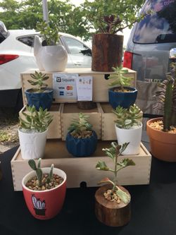 Tropical Park Farmers Market