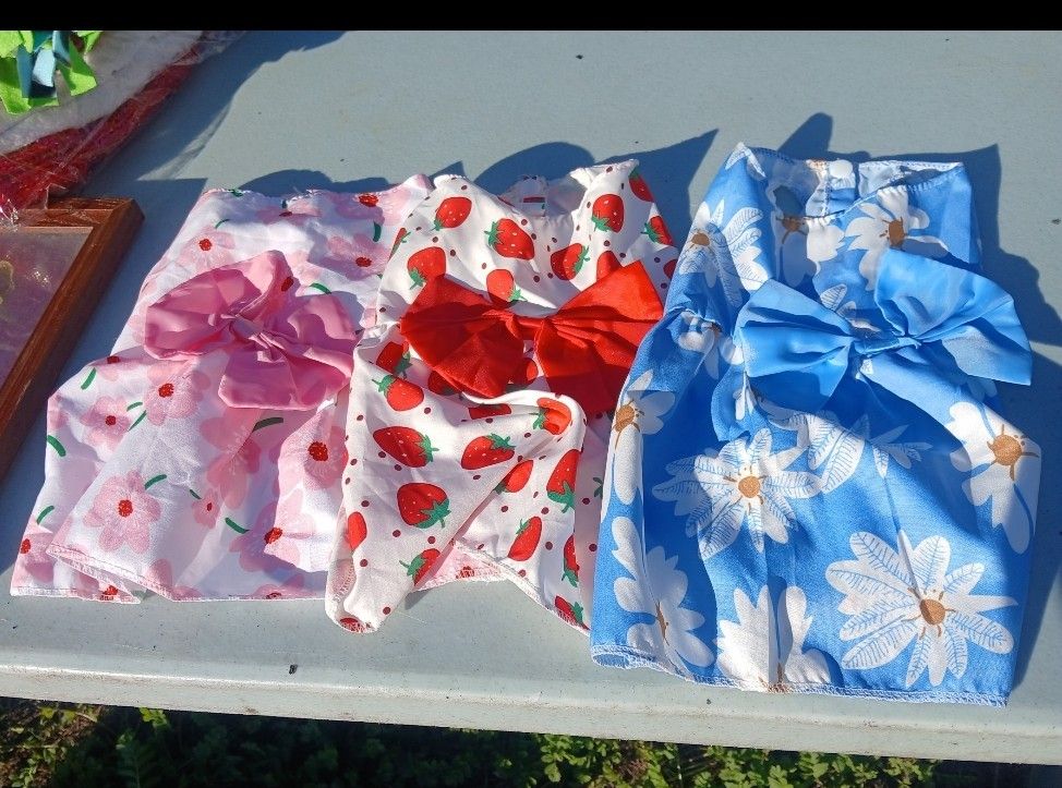 Vestdos Para Perrita