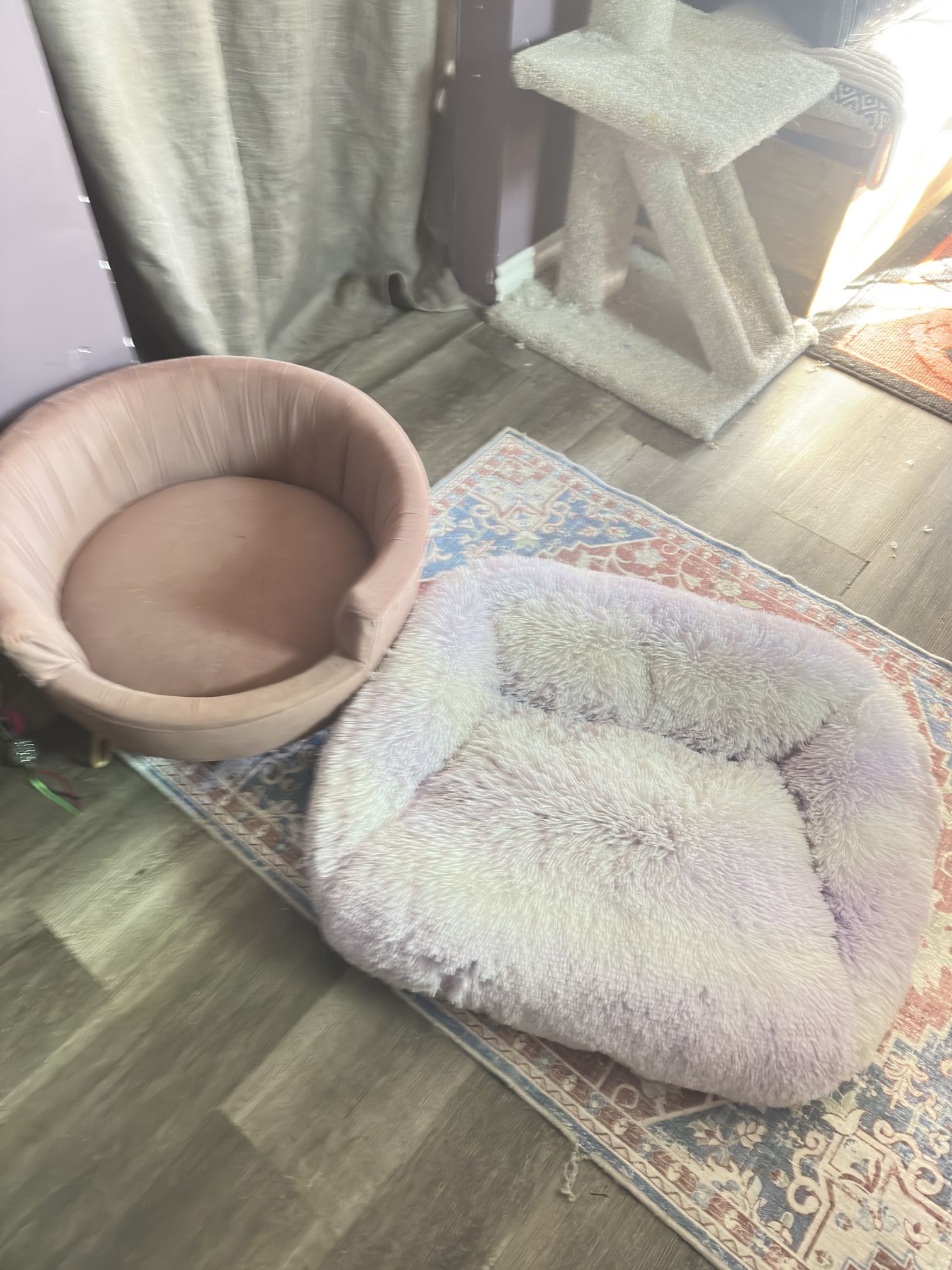 Pet Beds