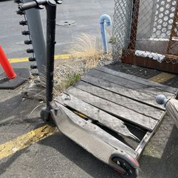 Ninebot Scooter
