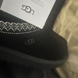 WORN ONCE tasman uggs