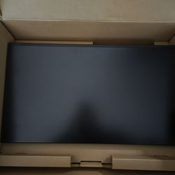 Dell 24 Inch Monitor 