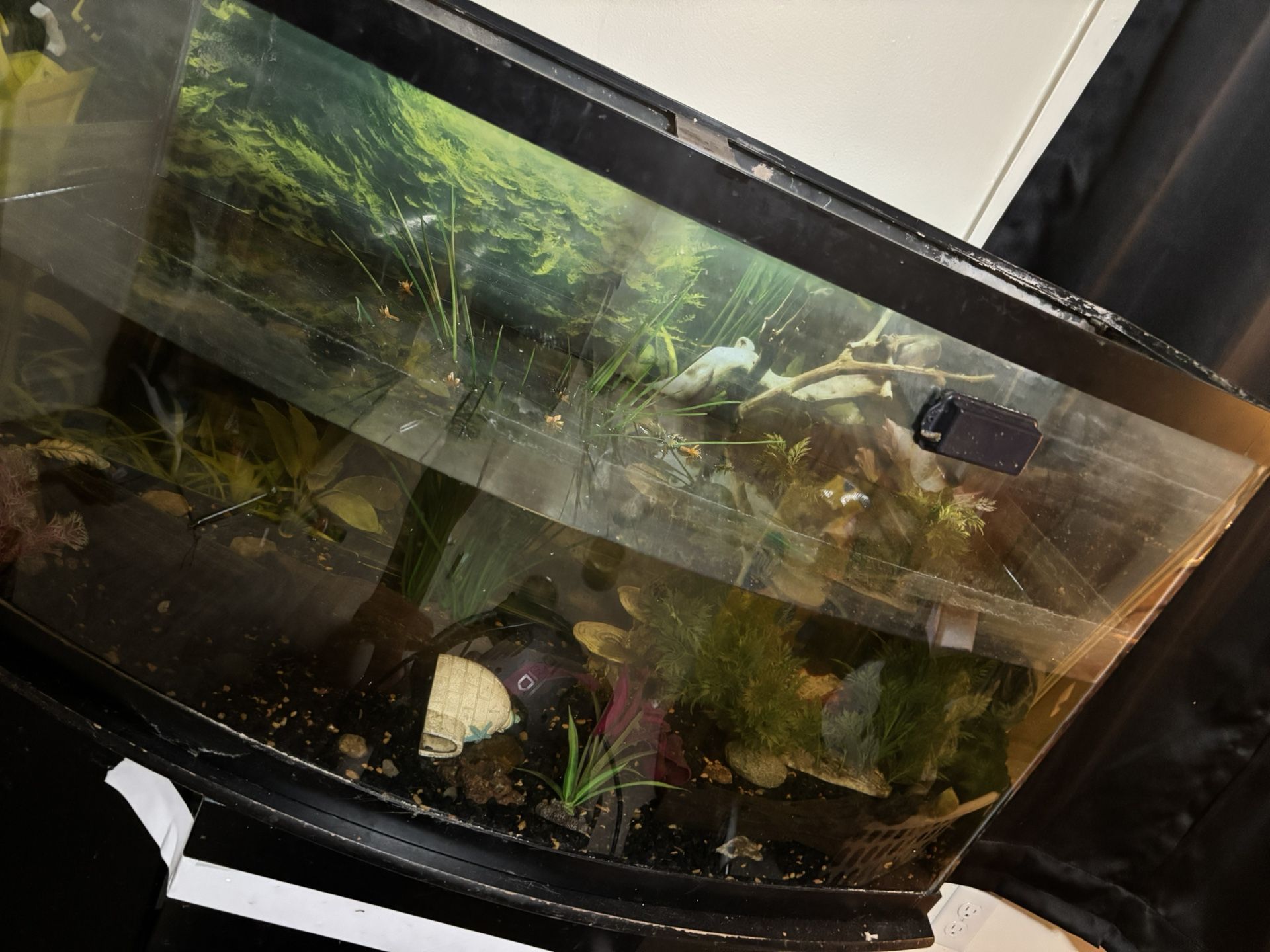 Fish Tank Set Up