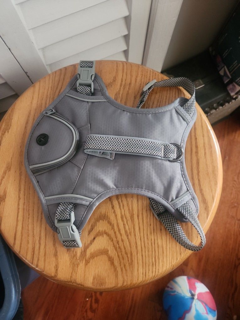 Dog Halter