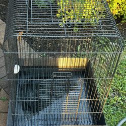 Bird Cage Plus Free Items