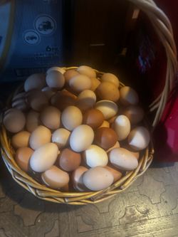 Fresh Eggs.