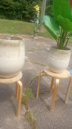 Garden planter's