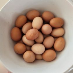FARM FRESH ORGANIC EGGS