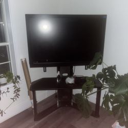 TV With Stand