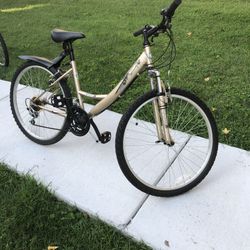 Dynasty Womens Bike 18 Sp