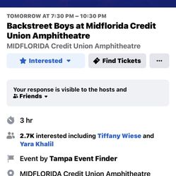 Backstreet Boys Tampa Lawn Seat