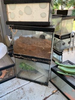 5 gallon tanks