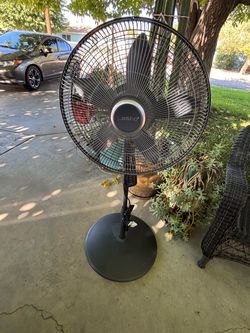 Fan