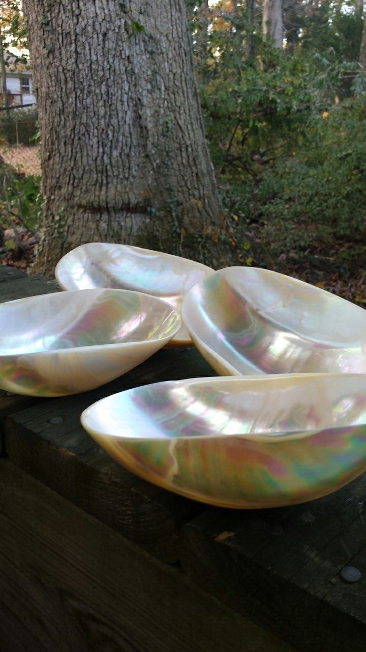 Exotic illuminescent Seashell 4-Bowl Set