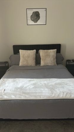 Queen Bed & Mattress