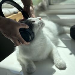 Beats Solo3 Wireless On-Ear Headphones (Includes Cable)