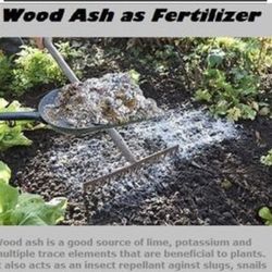 Wood Ash Sifted, garden Fertilizer, 5 Galon Bucket, Let Me Know How Much You Need So I Can Make Right Size/Amount For You.  